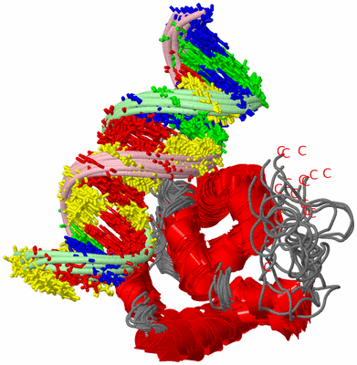 Image NMR Structure - all models