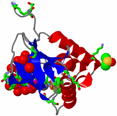 Image Asym./Biol. Unit - sites