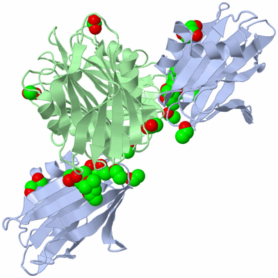 Image Biological Unit 3