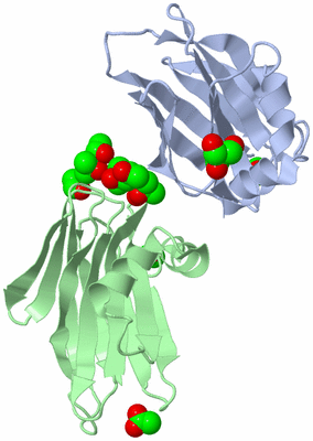 Image Biological Unit 4