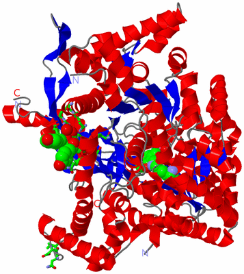 Image Asym. Unit - sites