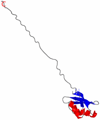 Image NMR Structure - model 1