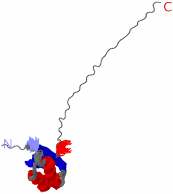 Image NMR Structure - all models