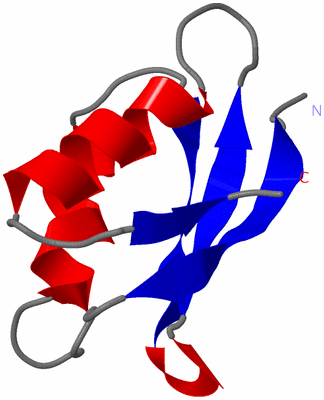 Image NMR Structure - all models