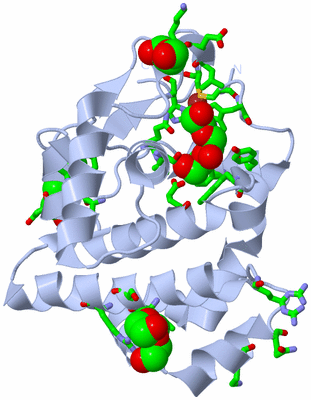 Image Biol. Unit 1 - sites