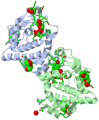 Image Asym. Unit - sites