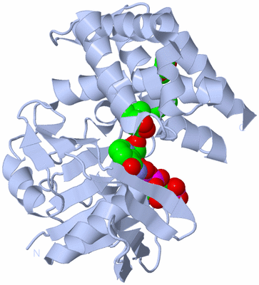 Image Biological Unit 1