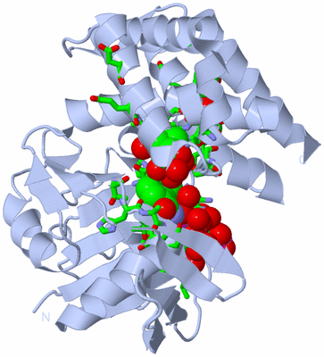 Image Biol. Unit 1 - sites