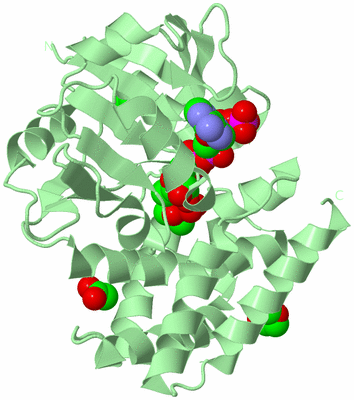 Image Biological Unit 2