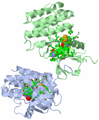 Image Asym./Biol. Unit - sites