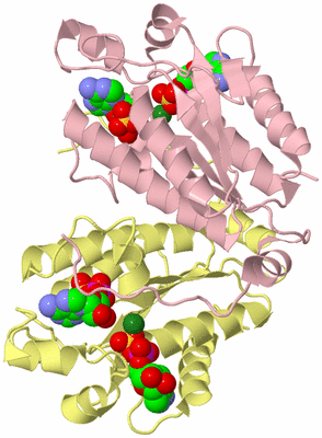 Image Biological Unit 2