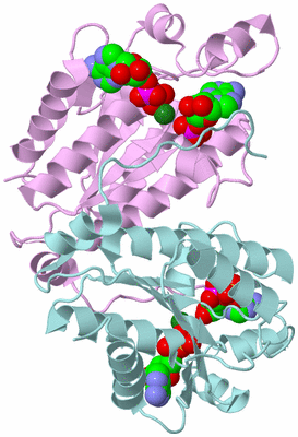 Image Biological Unit 3