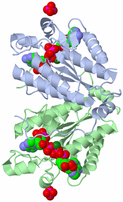 Image Asym./Biol. Unit