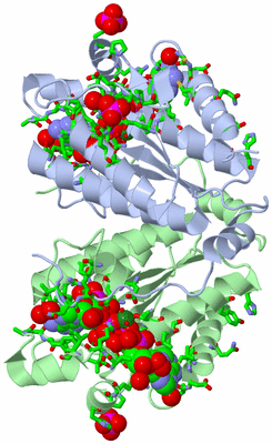 Image Asym./Biol. Unit - sites