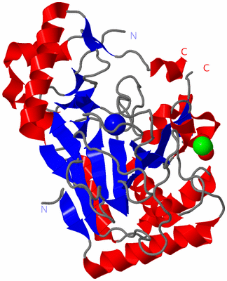 Image Asym./Biol. Unit