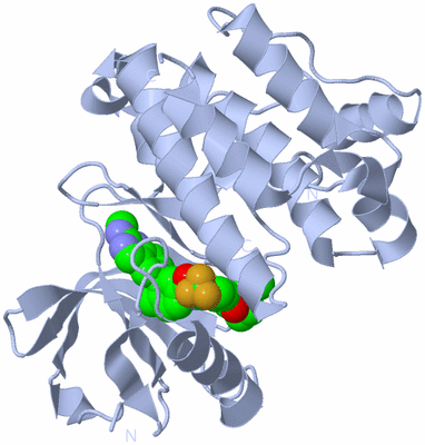 Image Biological Unit 1