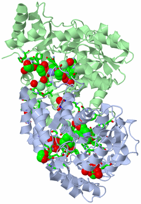 Image Biol. Unit 1 - sites