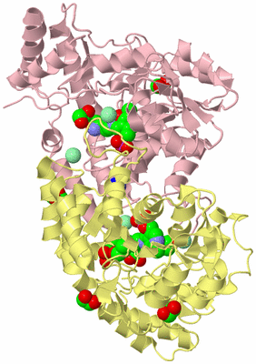 Image Biological Unit 2