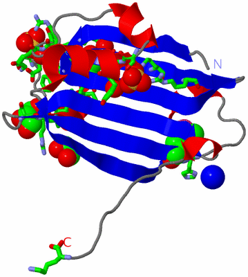 Image Asym. Unit - sites