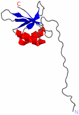 Image NMR Structure - model 1