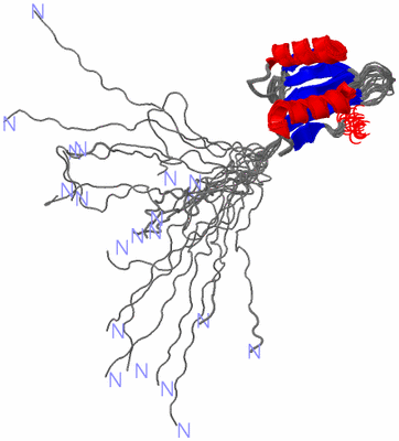 Image NMR Structure - all models