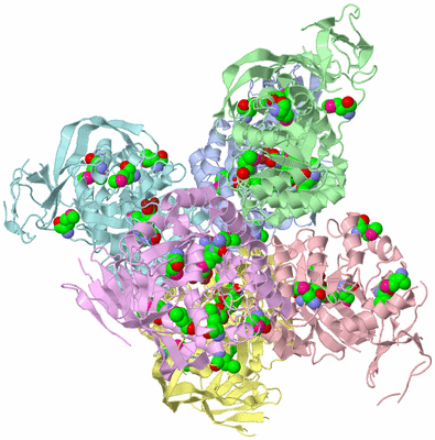 Image Biological Unit 1