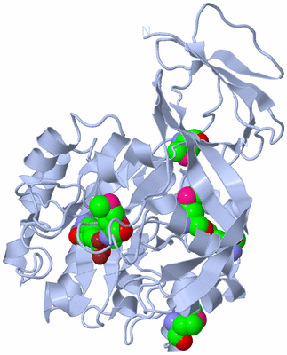 Image Biological Unit 2