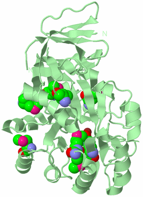 Image Biological Unit 3