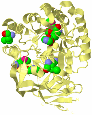 Image Biological Unit 5