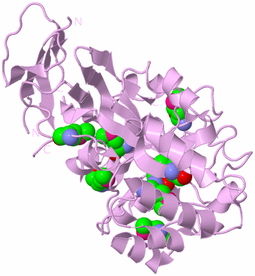 Image Biological Unit 6