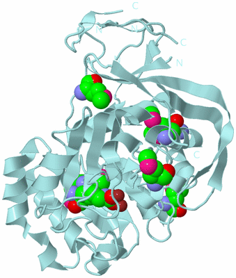 Image Biological Unit 7