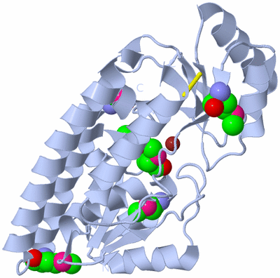 Image Biological Unit 1