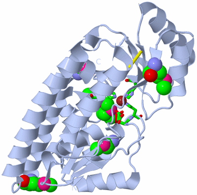 Image Biol. Unit 1 - sites