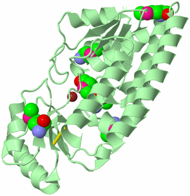 Image Biological Unit 2