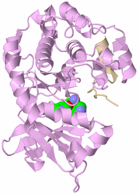 Image Asym./Biol. Unit