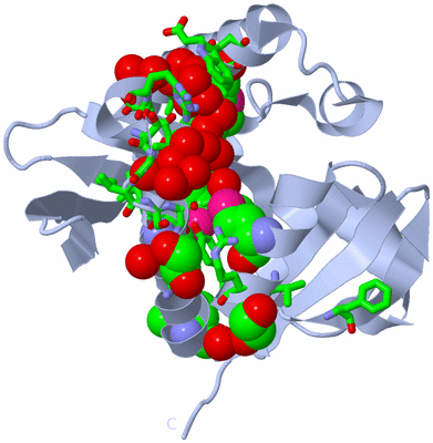 Image Biol. Unit 1 - sites