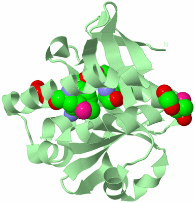 Image Biological Unit 2