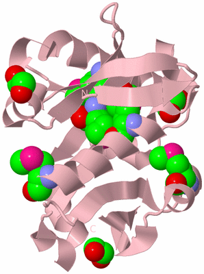 Image Biological Unit 3