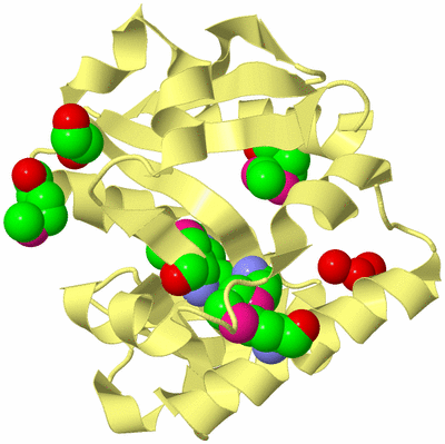 Image Biological Unit 4