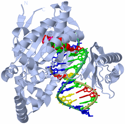 Image Biological Unit 1