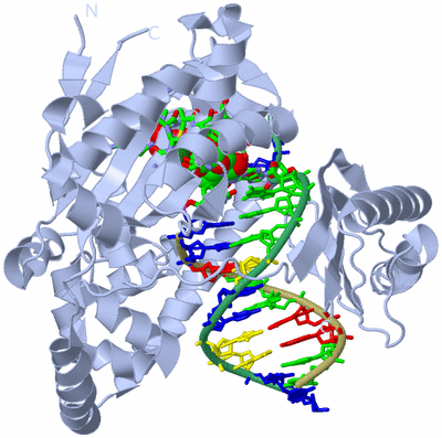 Image Biol. Unit 1 - sites