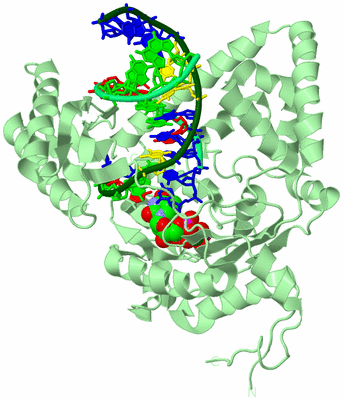 Image Biological Unit 2