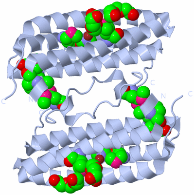 Image Biological Unit 1