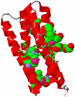 Image Asym. Unit - sites