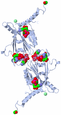 Image Biological Unit 2