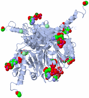 Image Biological Unit 3