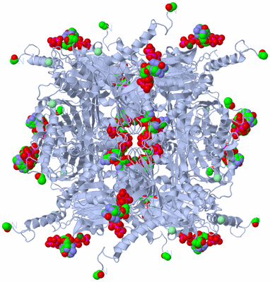 Image Biological Unit 1