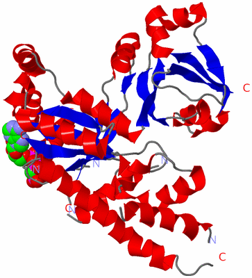 Image Asym./Biol. Unit