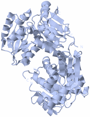 Image Biological Unit 1