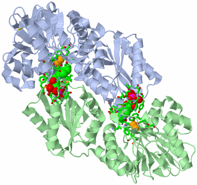 Image Biol. Unit 1 - sites